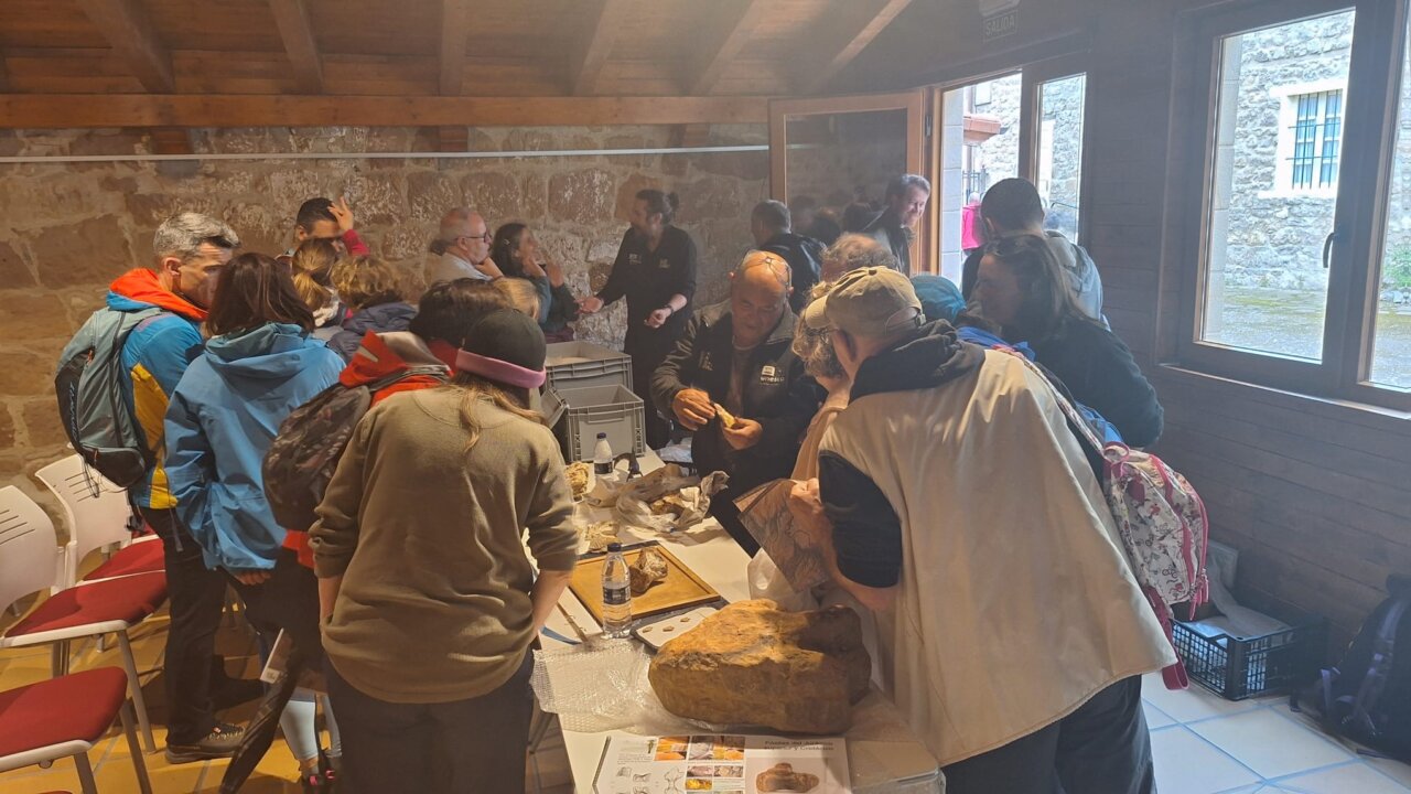 Grupo de personas observando fósiles en un evento de geología