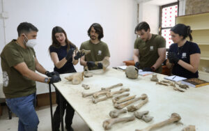 Investigadores analizando huesos en el osario de la Catedral de Palencia