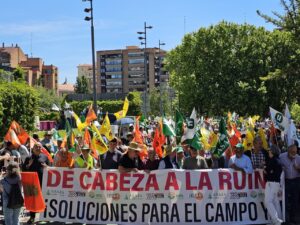 Los agricultores y ganaderos de Castilla y León, convocados en unidad de acción por las Organizaciones profesionales agrarias -ASAJA, UCCL y Alianza UPA-COAG- han recorrido hoy las calles de Valladolid en una nueva protesta en defensa de su dignidad y su futuro.