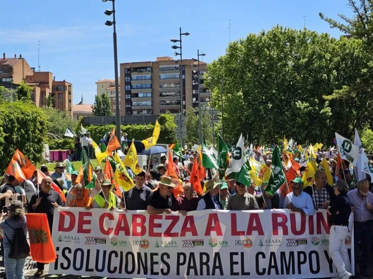 Los agricultores y ganaderos de Castilla y León, convocados en unidad de acción por las Organizaciones profesionales agrarias -ASAJA, UCCL y Alianza UPA-COAG- han recorrido hoy las calles de Valladolid en una nueva protesta en defensa de su dignidad y su futuro.