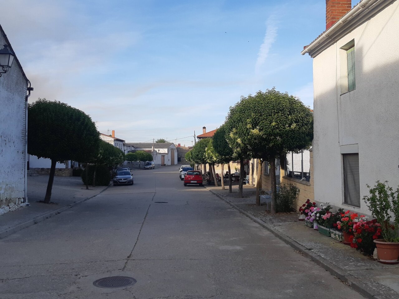 Vista de una calle en Paredes de Monte con árboles y casas