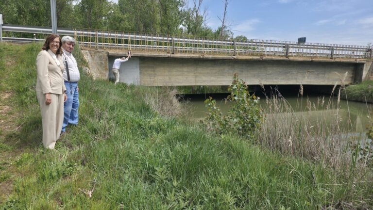 Dos personas junto a un puente en una inspección