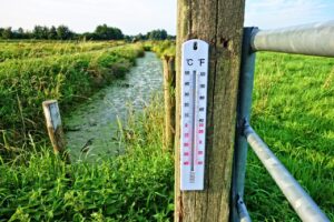 Termómetro en un entorno natural indicando temperaturas en grados Celsius y Fahrenheit.