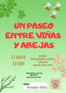 Cartel del evento Un Paseo entre Viñas y Abejas en el Cerrato palentino