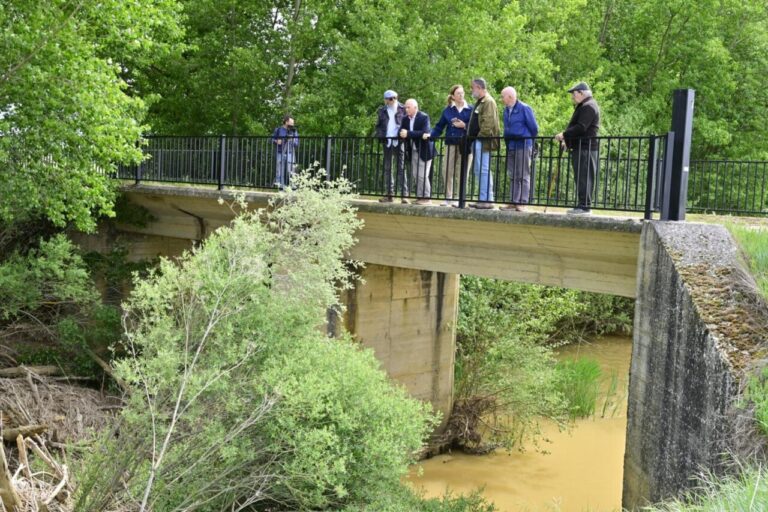 Grupo de personas observando el puente sobre el río Ucieza en Villarmentero de Campos.