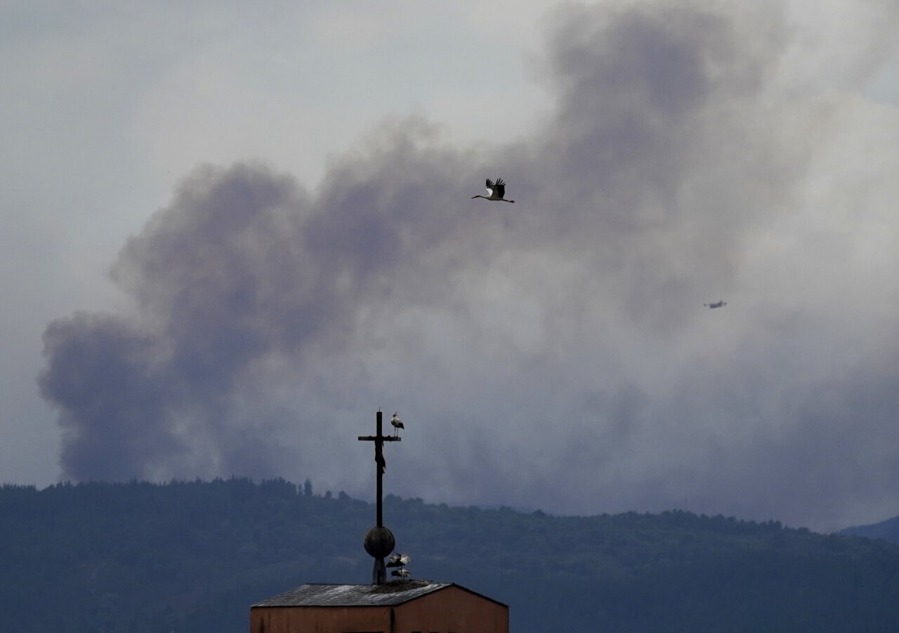 Vista de humo de incendios en León con aves volando