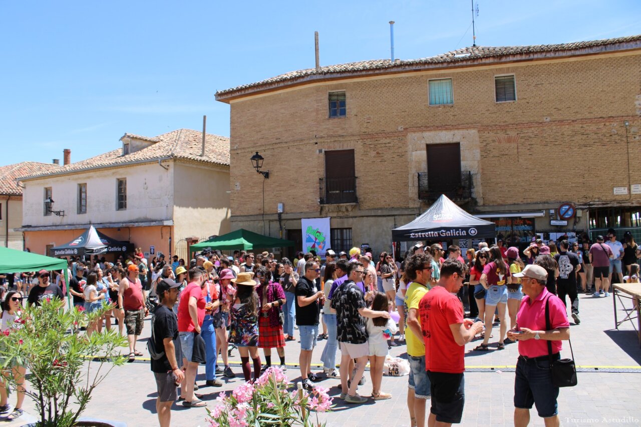 Multitud de personas disfrutando en el festival de Astudillo