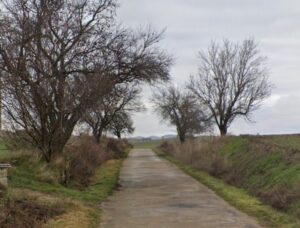 Vista de la carretera del hambre en Palencia rodeada de árboles