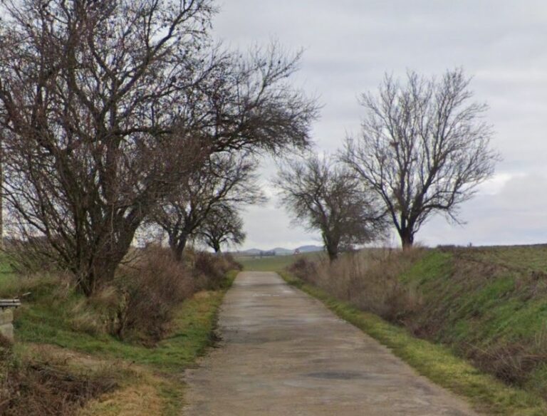 Vista de la carretera del hambre en Palencia rodeada de árboles