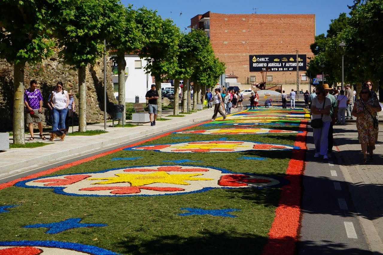 Alfombras florales durante el Corpus Christi en Carrión de los Condes