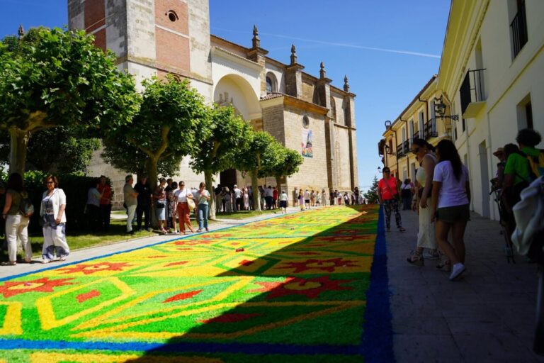 Alfombra floral colorida durante el Corpus Christi en Carrión de los Condes