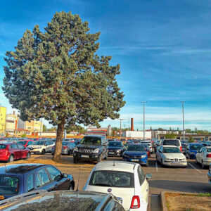 Aparcamiento del hospital con árboles y coches estacionados