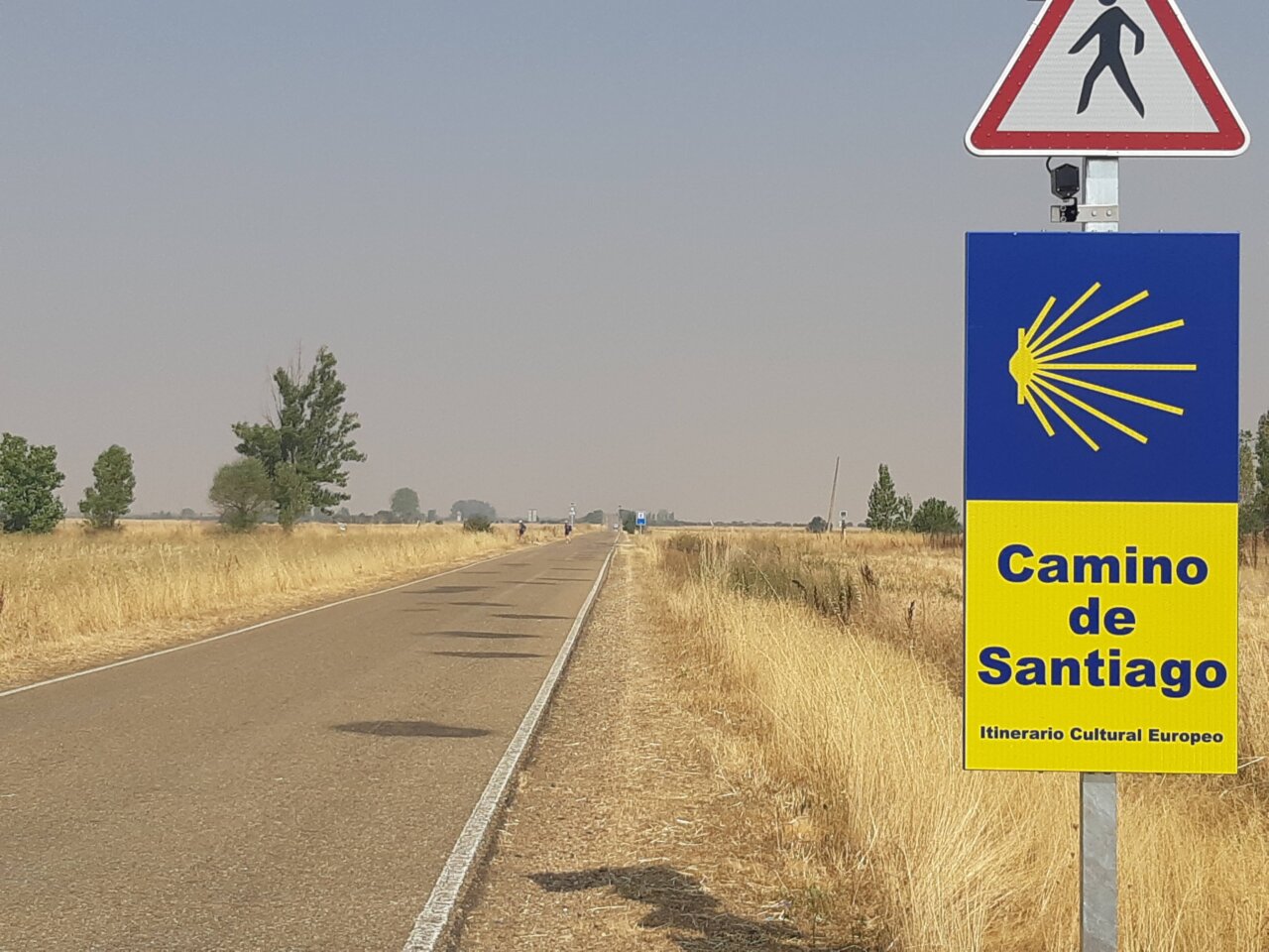 Cartel del Camino de Santiago en una carretera rural