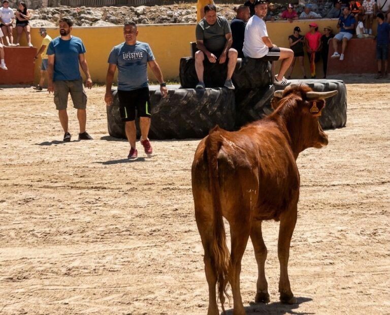 Participantes en la III Capea en Torquemada con un toro