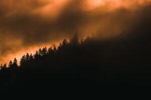 Vista de una colina cubierta de árboles en un atardecer brumoso