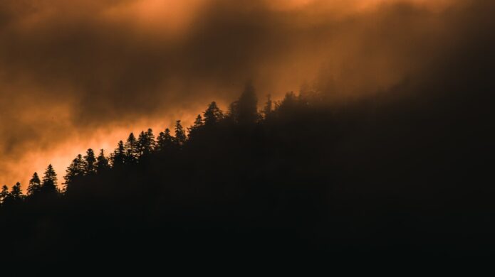 Vista de una colina cubierta de árboles en un atardecer brumoso