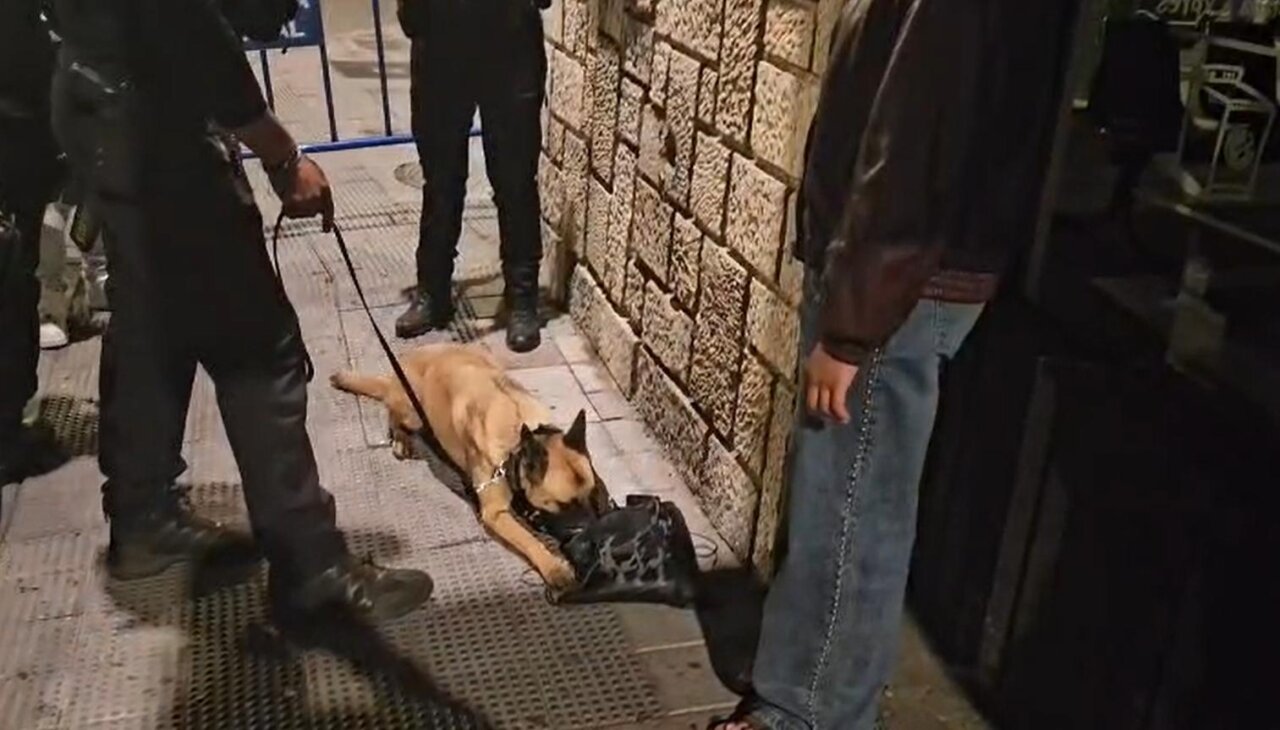 Agentes de policía y perro en control de seguridad en Rizarzuela