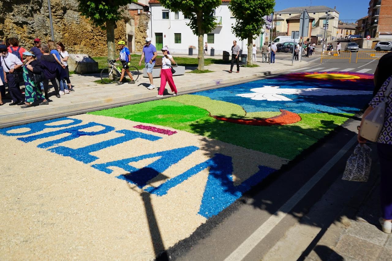 Alfombra floral colorida en la celebración del Corpus Christi en Carrión de los Condes