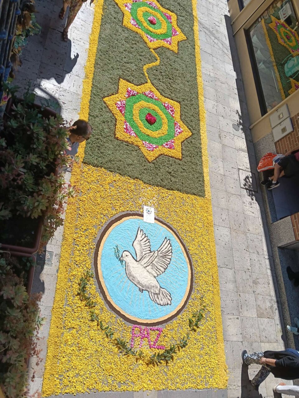 Alfombra floral del Corpus Christi en Carrión de los Condes con diseño de paloma y flores.