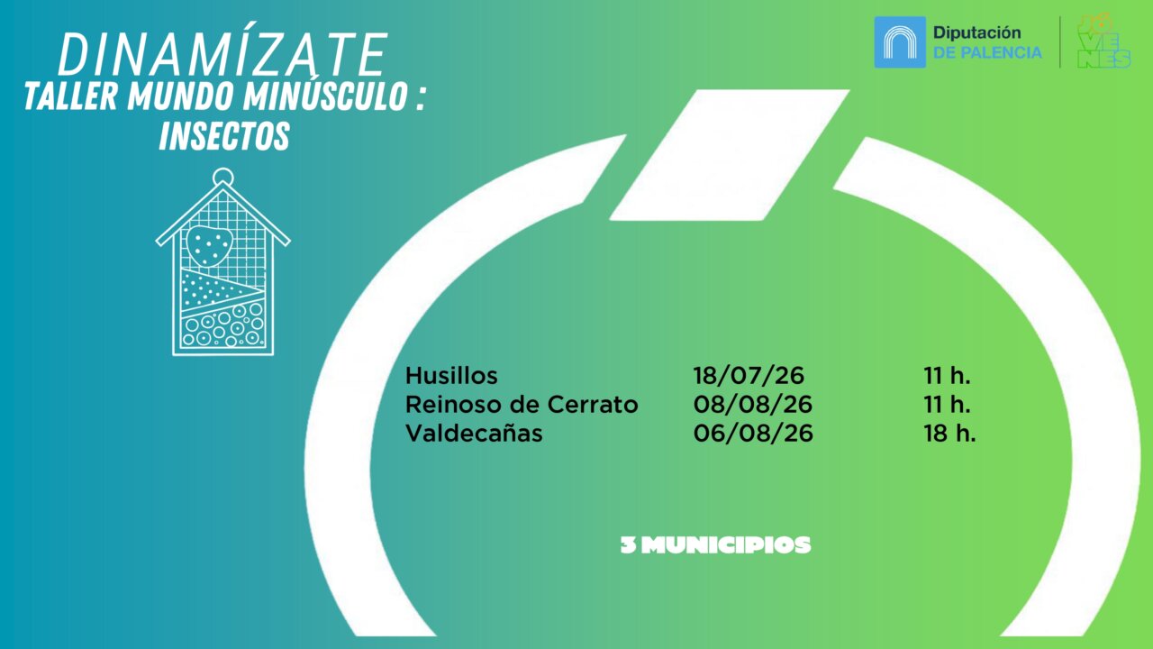 Cartel del taller de insectos en el programa de dinamización juvenil