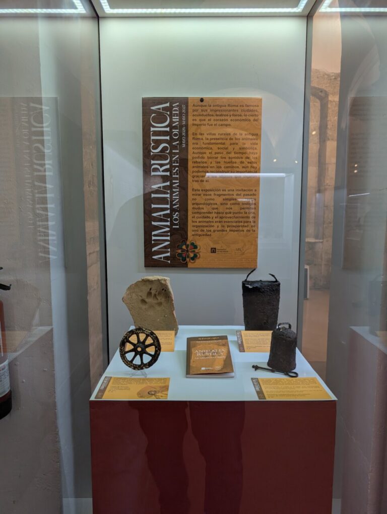 Exposición sobre animales de granja en el Museo de La Olmeda