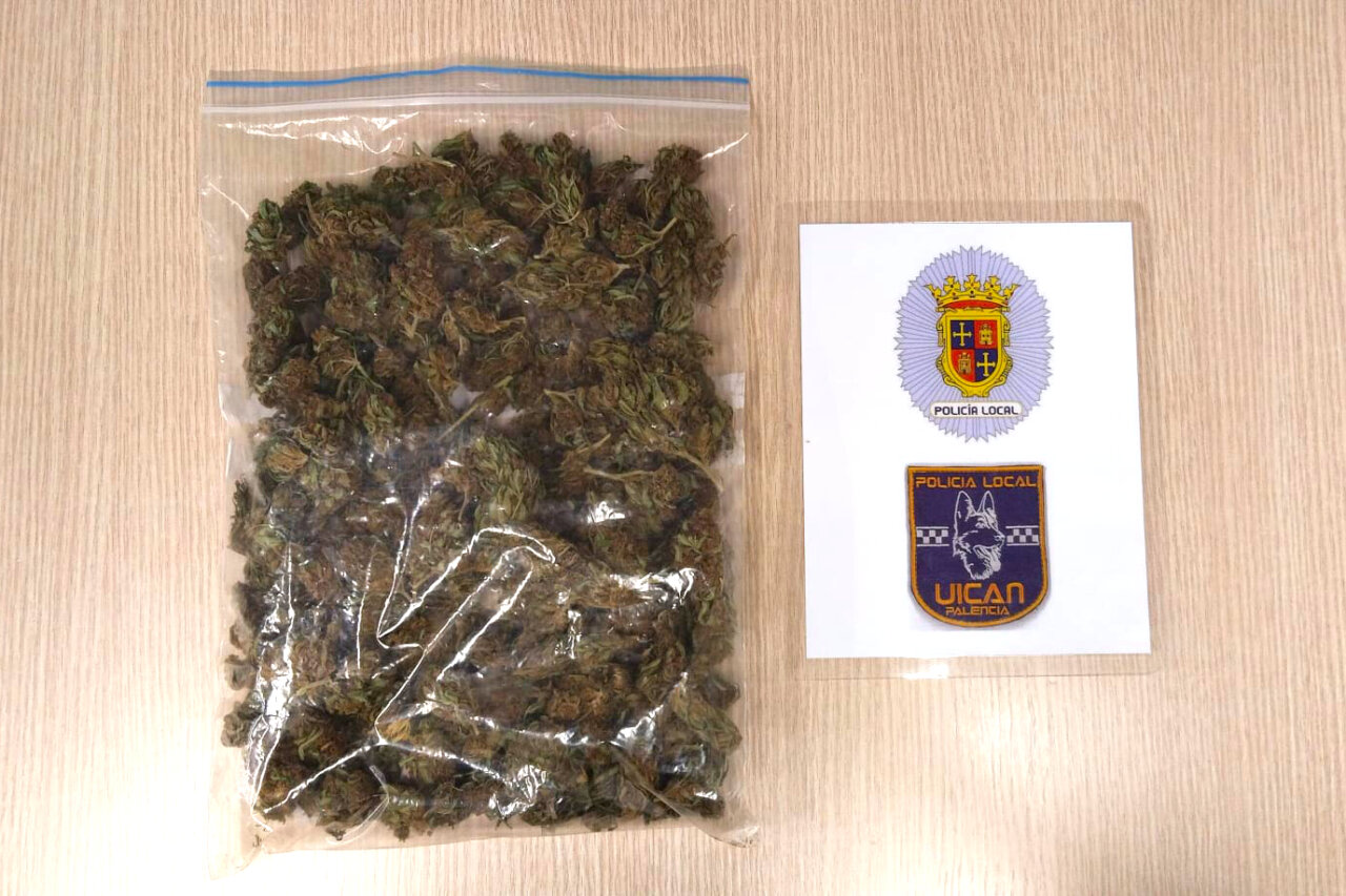 Paquete con marihuana intervenido por la Policía Local en Palencia