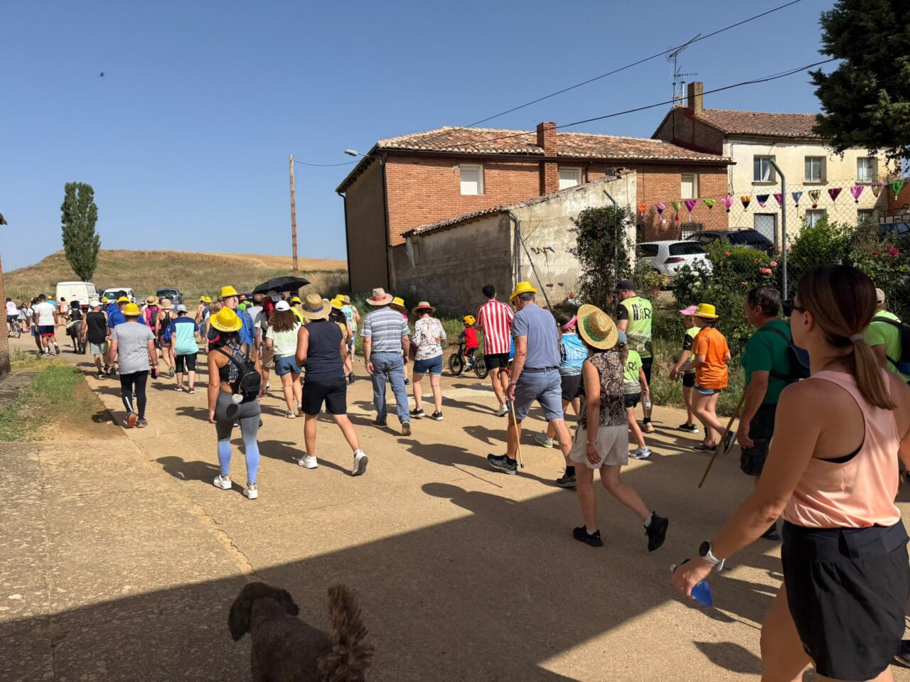 Participantes de la IV Marcha Solidaria Cembrero caminando bajo el sol
