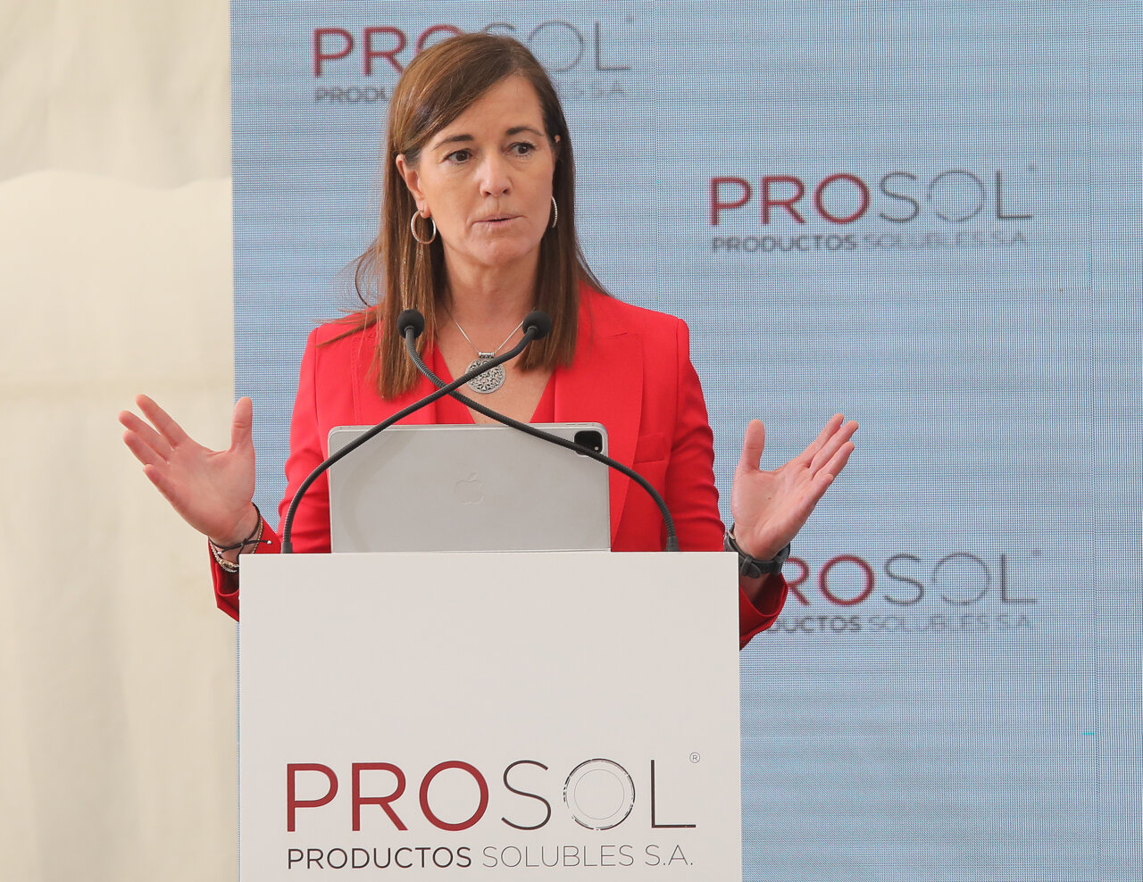 Presentación del nuevo Plan 34200 de Prosol en reunión global.