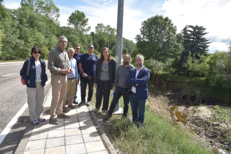 Grupo de personas en la recuperación ambiental de arroyos en Guardo