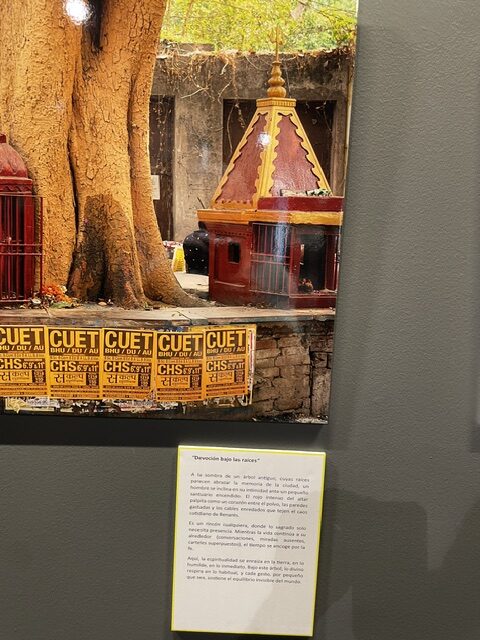 Fotografía de un templo en Bharat con árboles y carteles coloridos