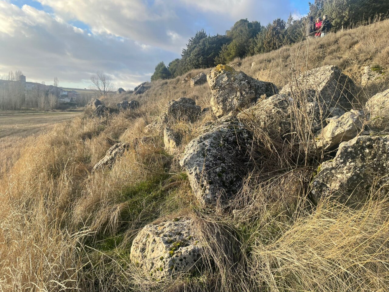 Paisaje con rocas y hierba en Tabanera de Cerrato