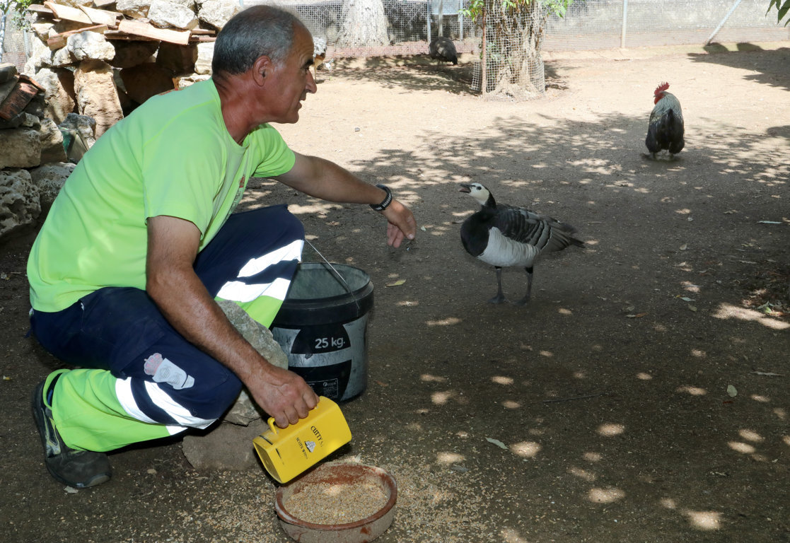 Trabajador alimentando aves en el zoo de Herrera de Pisuerga