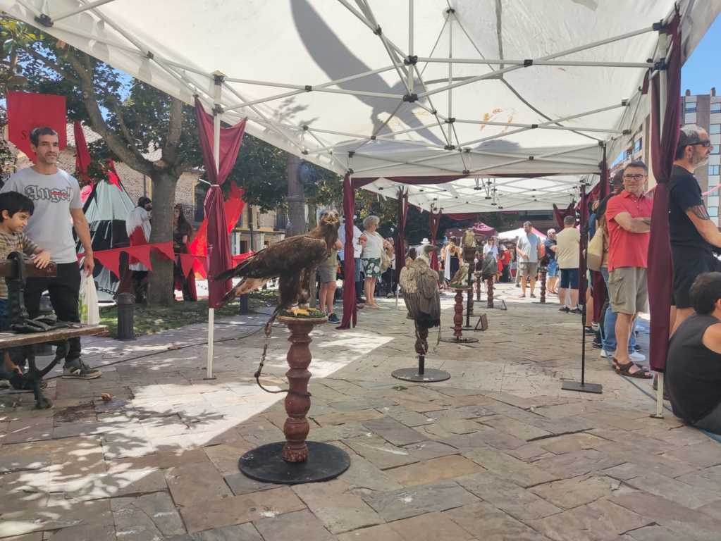 Exhibición de cetrería en el Mercado Romano de Saldaña con público asistente.