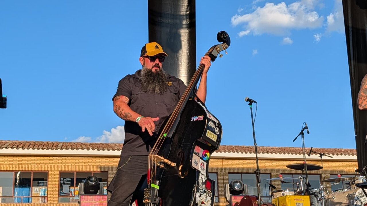Músico de la banda Moonshine Wagon tocando el contrabajo en el festival