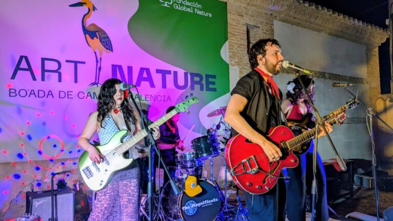 Actuación musical en el festival ArtNature en Boada de Campos