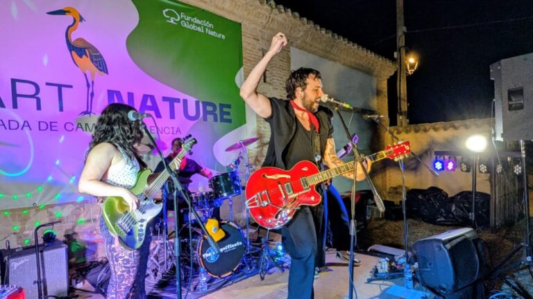Actuación en el festival ArtNature en Boada de Campos con músicos en el escenario.