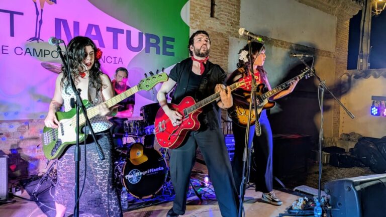 Actuación musical en el festival ArtNature en Boada de Campos