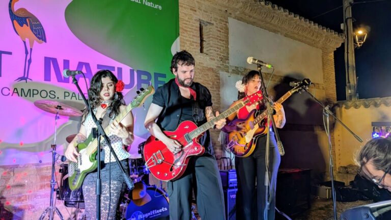 Actuación musical en el festival ArtNature en Boada de Campos