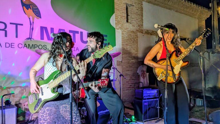 Actuación musical en el festival ArtNature en Boada de Campos