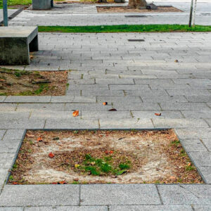 Alcorque sin árbol en el paseo de El Salón. José Luis de Román