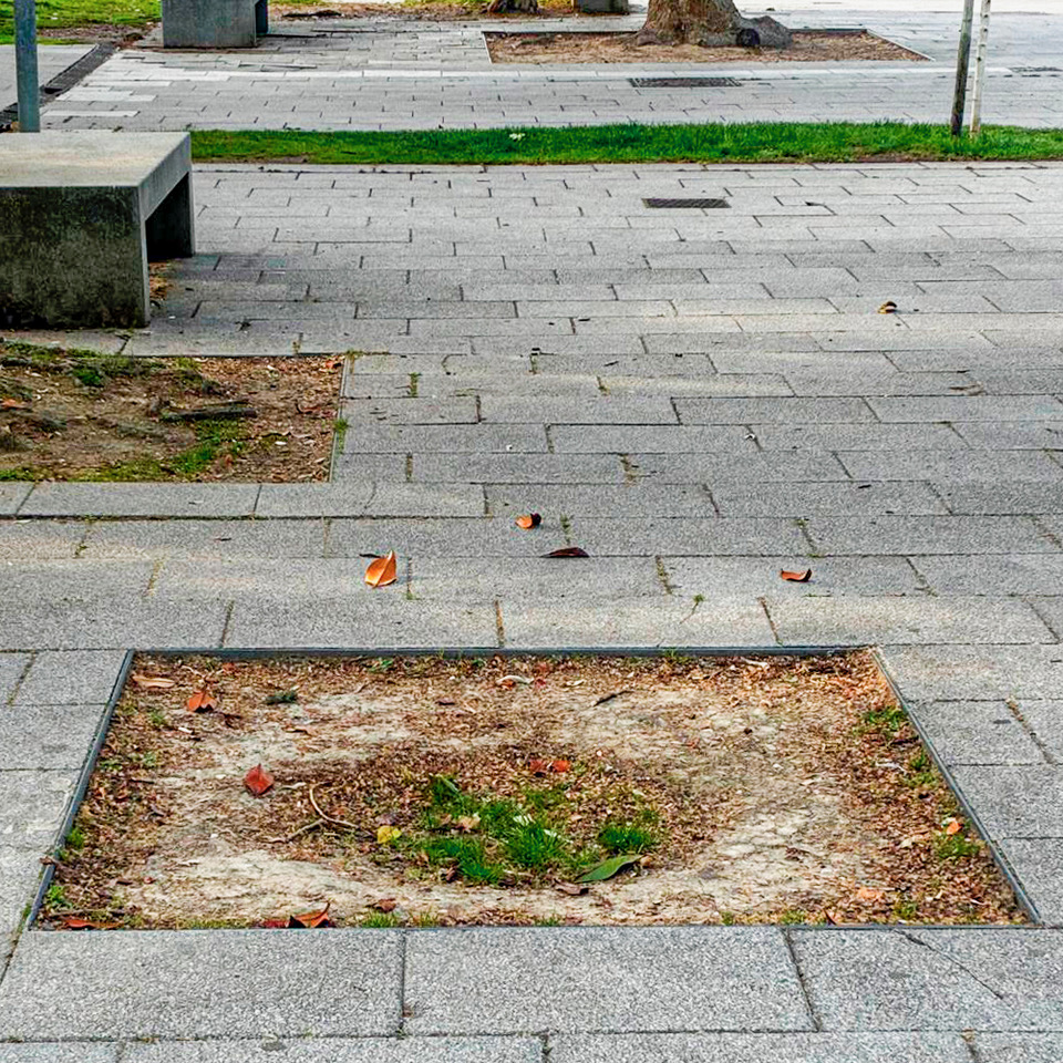 Alcorque sin árbol en el paseo de El Salón. José Luis de Román