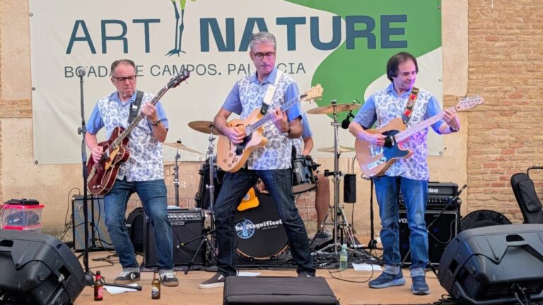 Actuación musical en el festival ArtNature en Boada de Campos