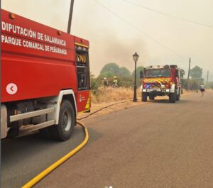 Camiones de bomberos en una zona afectada por incendio en Cebreros