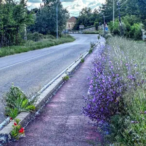 Carril bici en la Avenida de Viñalta. Foto: José Luis de Román