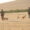 Dos cazadores caminando por un campo con perros de caza