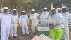 Grupo de participantes en un curso de apicultura con trajes de protección