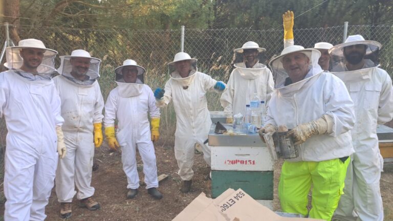 Grupo de participantes en un curso de apicultura con trajes de protección