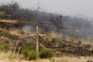 Cruz de madera en un paisaje afectado por un incendio forestal en León.