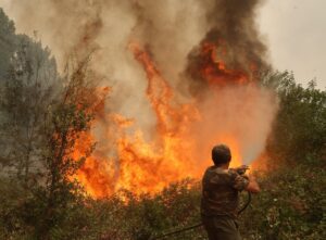 Bombero luchando contra un incendio forestal en Madrid