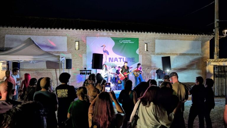 Actuación musical en el festival ArtNature en Boada de Campos